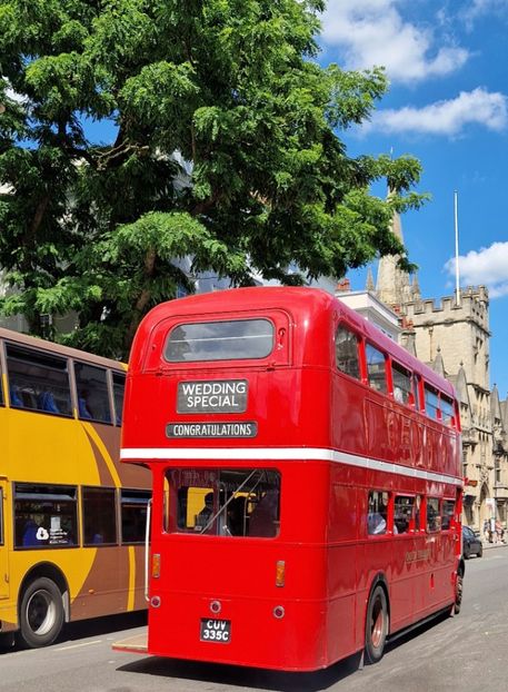  - 2024 Gradina botanica Oxford