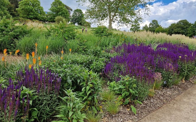  - 2024 RHS Garden Hyde Hall