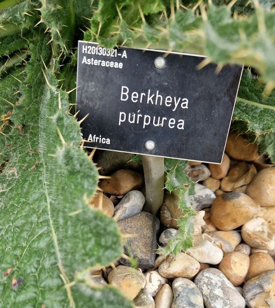  - 2024 RHS Garden Hyde Hall