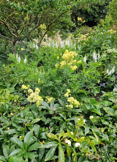  - 2024 RHS Garden Hyde Hall