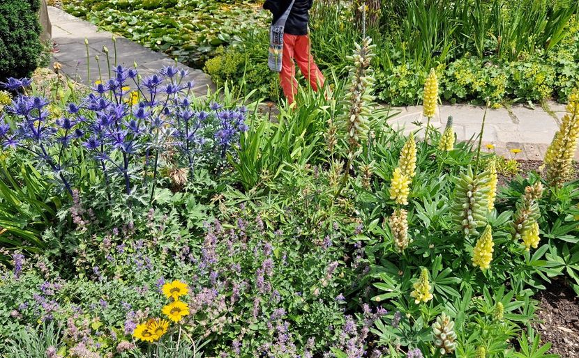  - 2024 RHS Garden Hyde Hall