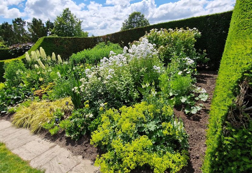  - 2024 RHS Garden Hyde Hall