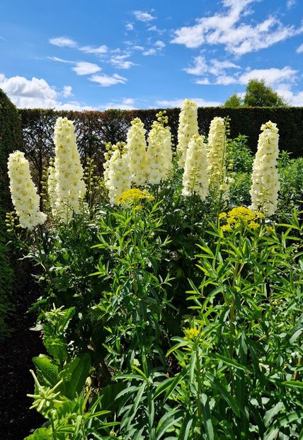  - 2024 RHS Garden Hyde Hall