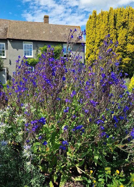  - 2024 RHS Garden Hyde Hall