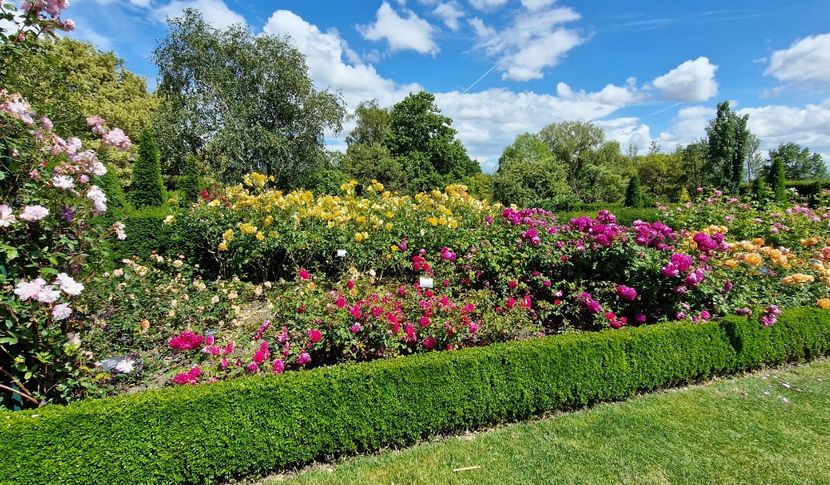  - 2024 RHS Garden Hyde Hall