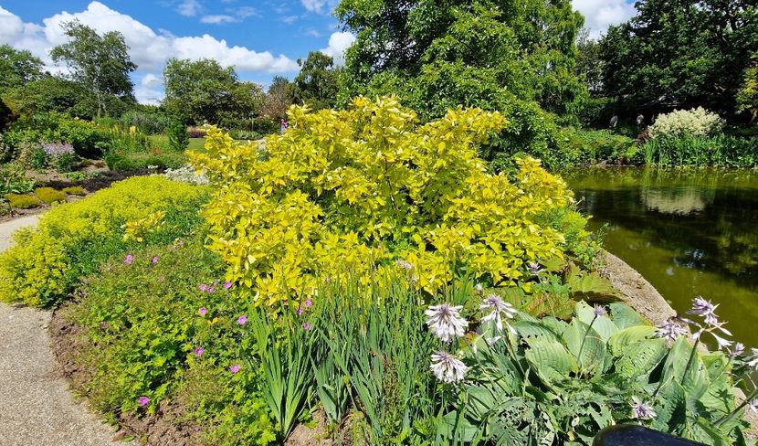  - 2024 RHS Garden Hyde Hall