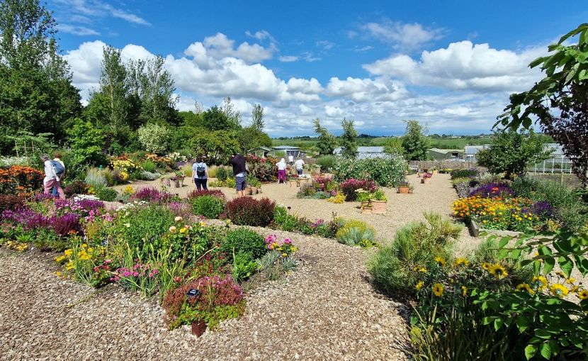  - 2024 RHS Garden Hyde Hall