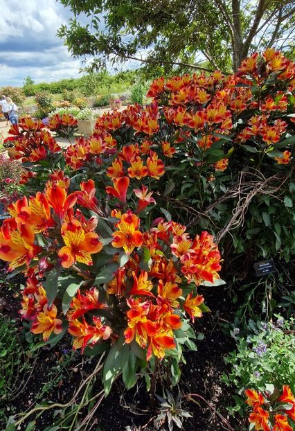  - 2024 RHS Garden Hyde Hall