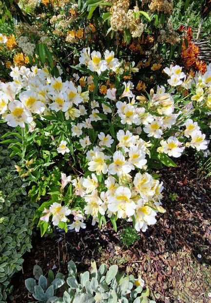  - 2024 RHS Garden Hyde Hall