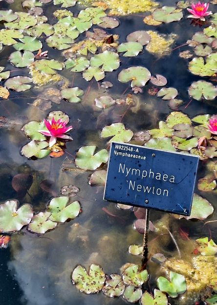  - 2024 RHS Garden Wisley