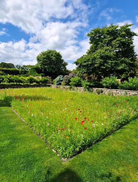  - 2024 RHS Garden Wisley