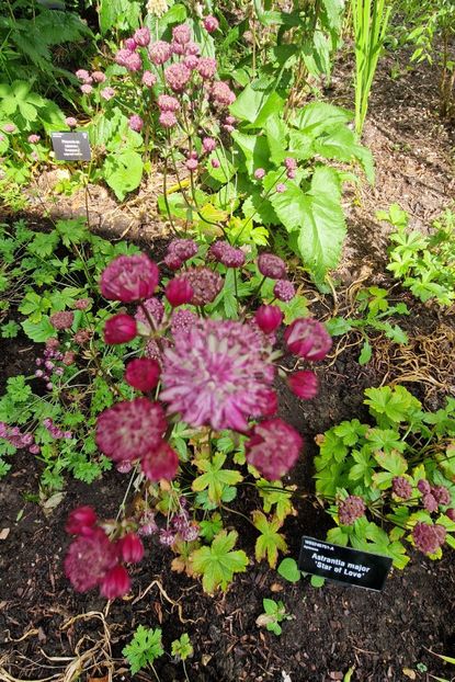  - 2024 RHS Garden Wisley