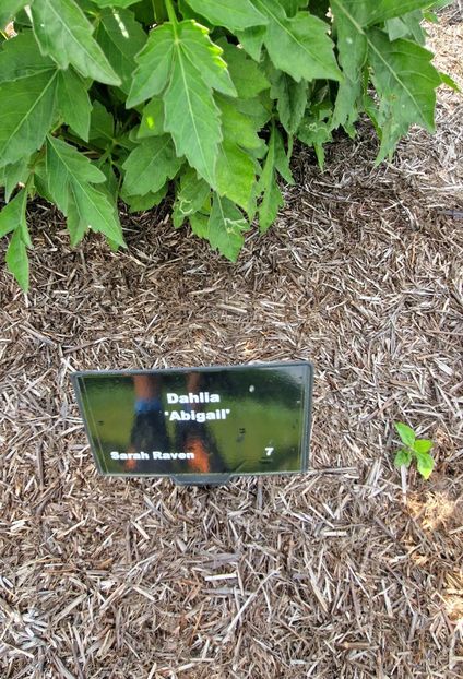  - 2024 RHS Garden Wisley