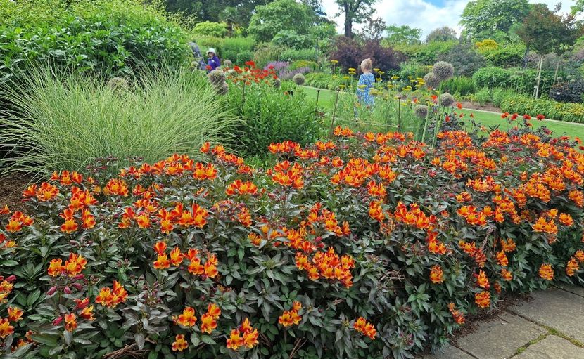  - 2024 RHS Garden Wisley