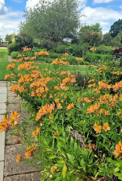  - 2024 RHS Garden Wisley