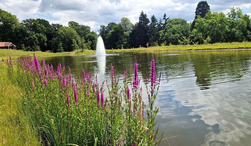  - 2024 RHS Garden Wisley
