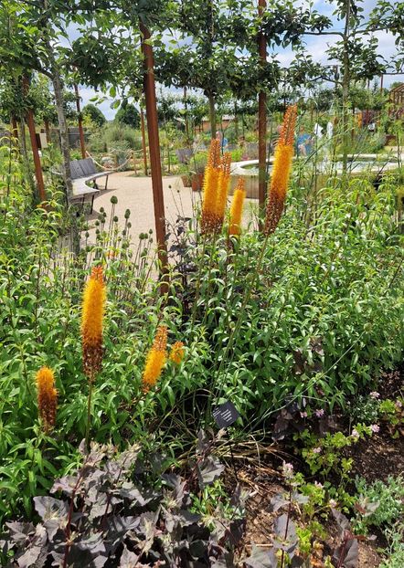  - 2024 RHS Garden Wisley