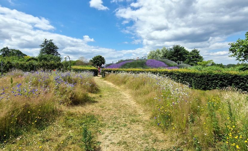  - 2024 RHS Garden Wisley