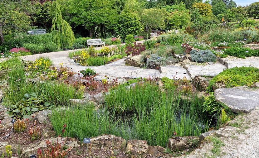  - 2024 RHS Garden Wisley