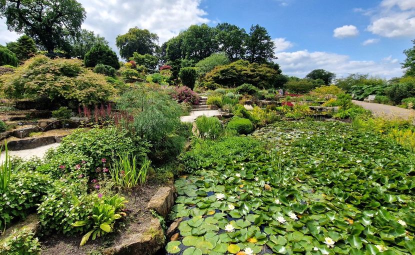  - 2024 RHS Garden Wisley