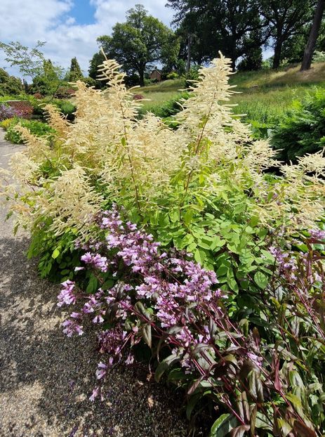  - 2024 RHS Garden Wisley