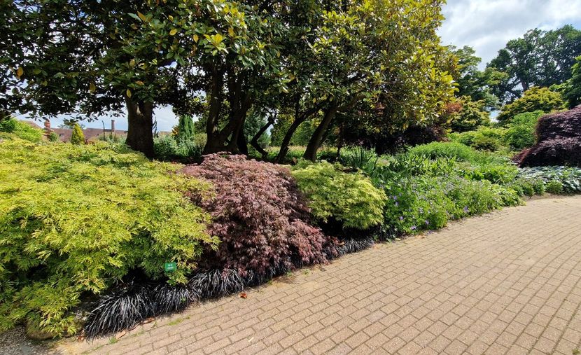  - 2024 RHS Garden Wisley