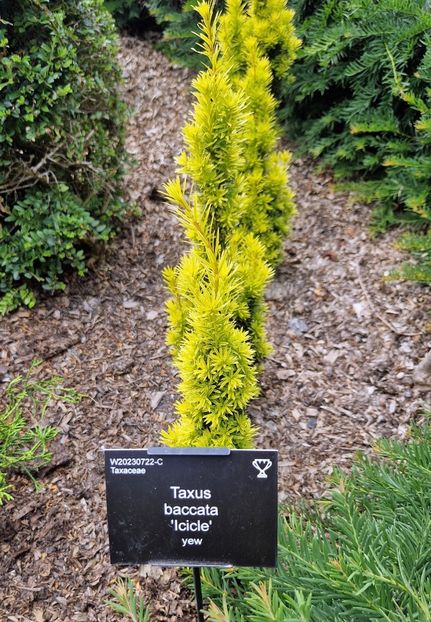  - 2024 RHS Garden Wisley