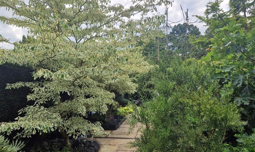  - 2024 RHS Garden Wisley