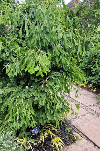  - 2024 RHS Garden Wisley