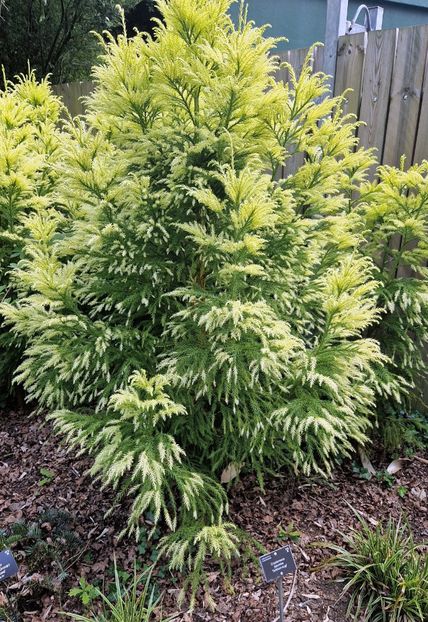  - 2024 RHS Garden Wisley