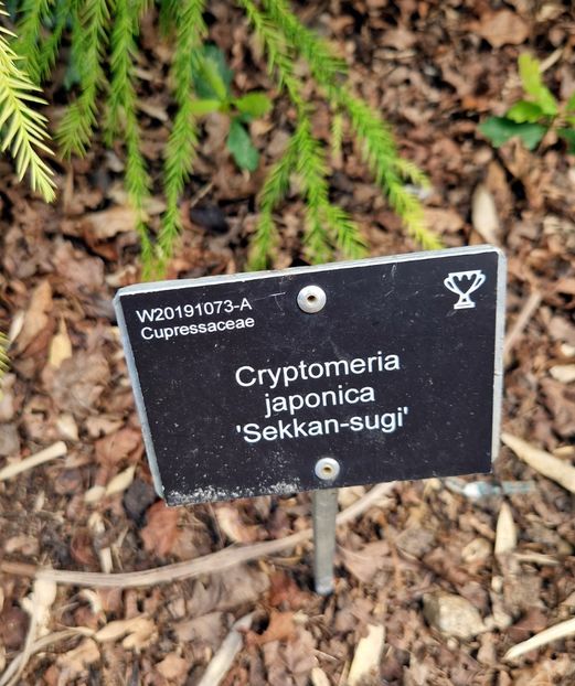  - 2024 RHS Garden Wisley