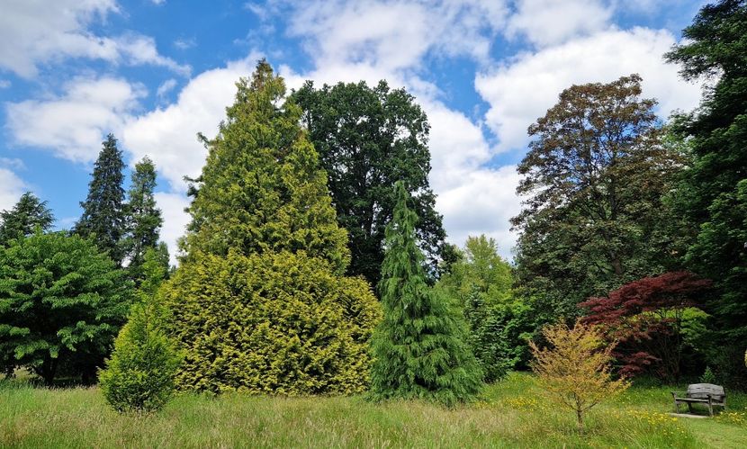  - 2024 RHS Garden Wisley