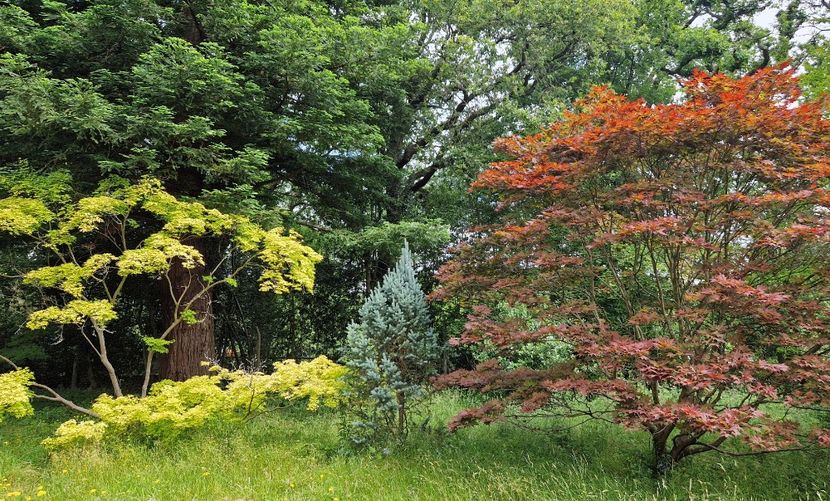  - 2024 RHS Garden Wisley