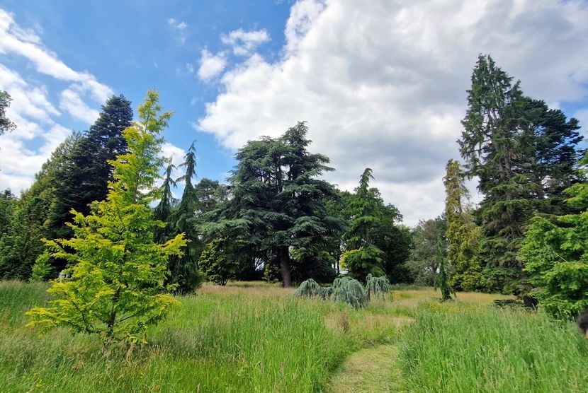  - 2024 RHS Garden Wisley