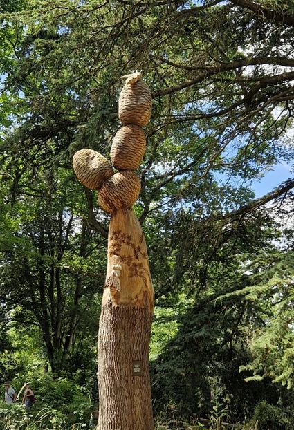  - 2024 RHS Garden Wisley