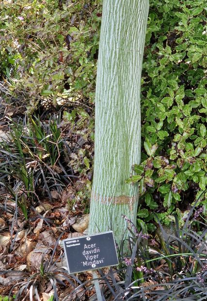  - 2024 RHS Garden Wisley