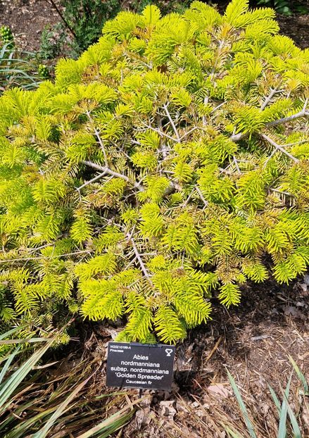  - 2024 RHS Garden Wisley