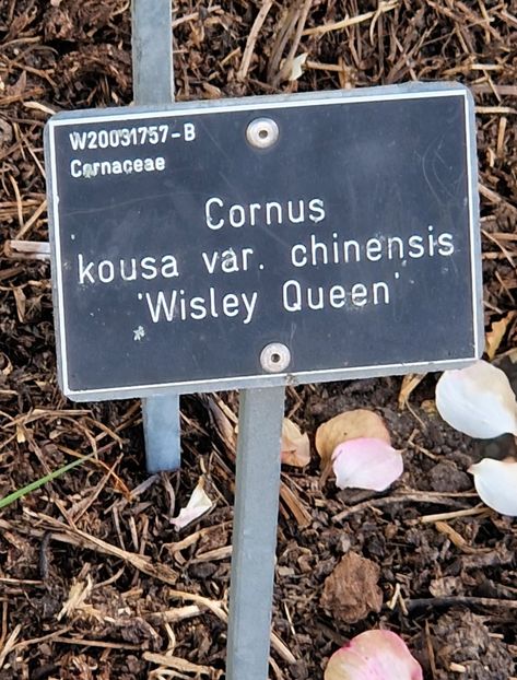  - 2024 RHS Garden Wisley