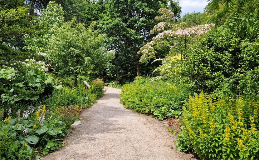  - 2024 RHS Garden Wisley