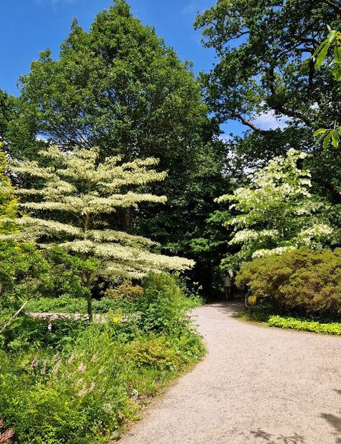  - 2024 RHS Garden Wisley