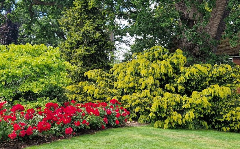  - 2024 RHS Garden Wisley