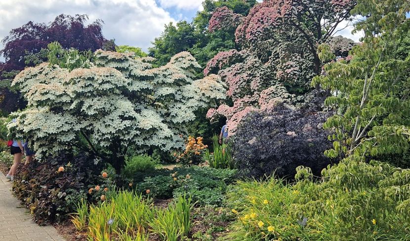  - 2024 RHS Garden Wisley