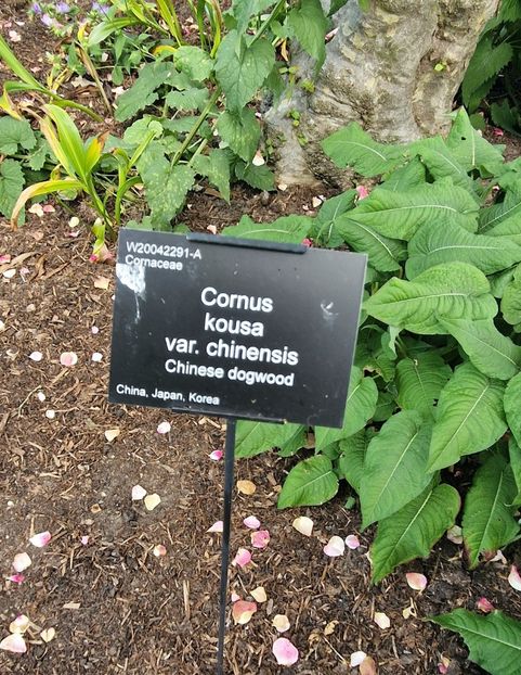  - 2024 RHS Garden Wisley