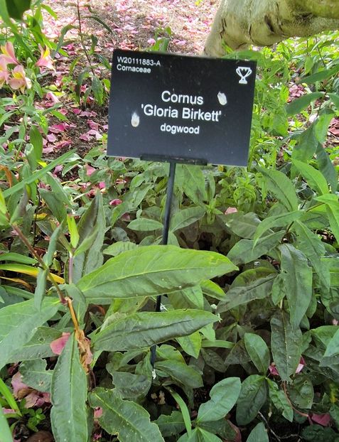 - 2024 RHS Garden Wisley