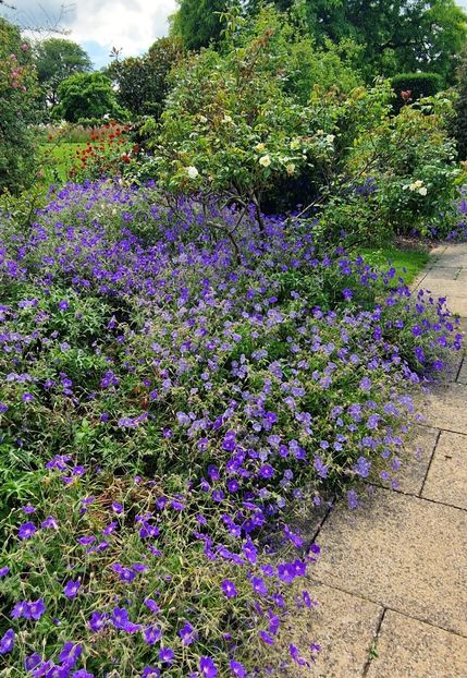  - 2024 RHS Garden Wisley