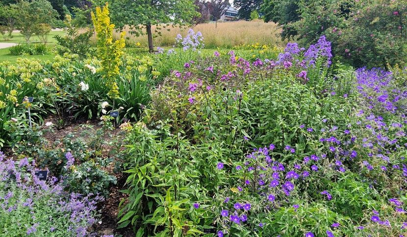  - 2024 RHS Garden Wisley