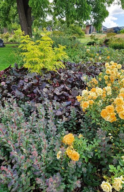  - 2024 RHS Garden Wisley