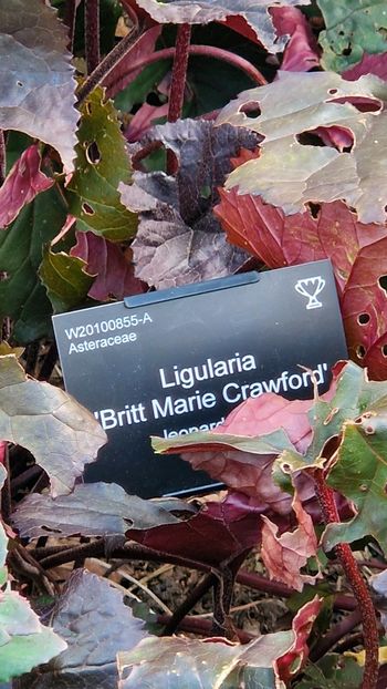  - 2024 RHS Garden Wisley