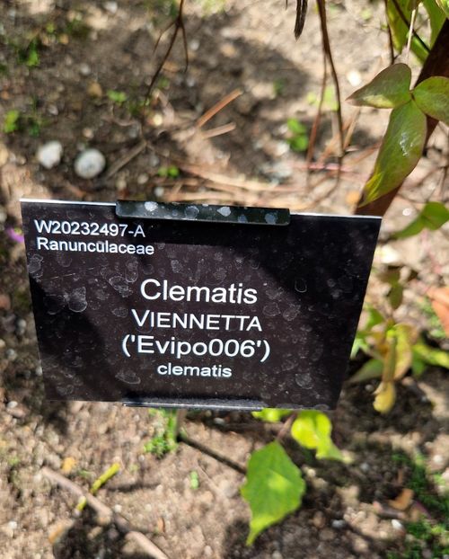  - 2024 RHS Garden Wisley