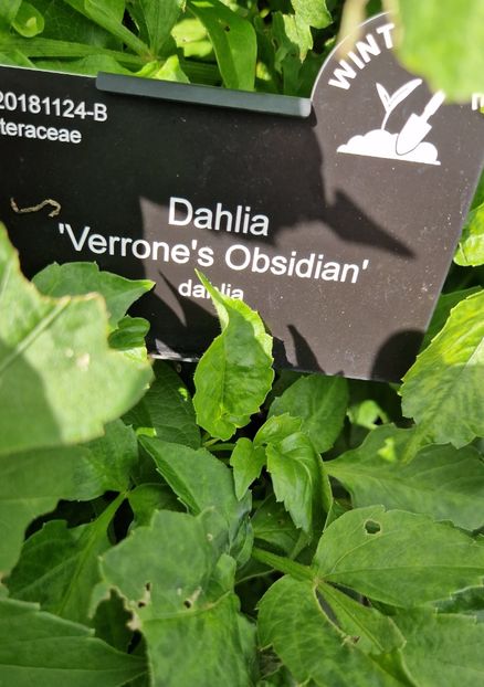  - 2024 RHS Garden Wisley